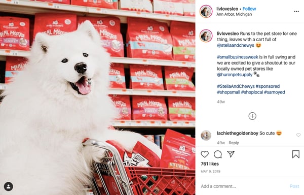 stella and chewy ig partnership ad